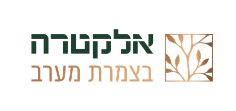 אלקטרה בצמרת מערב